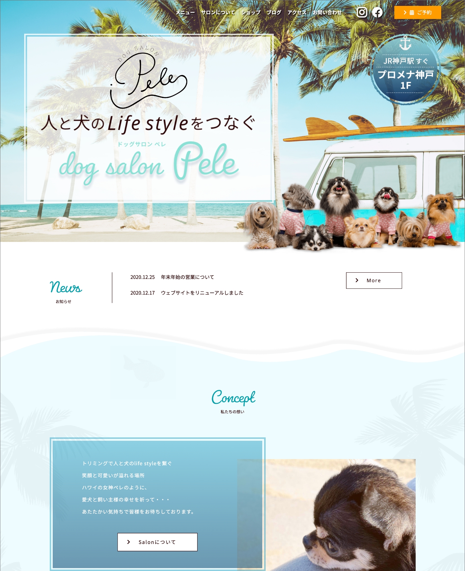 ドッグサロン PeleのWEBサイト画面